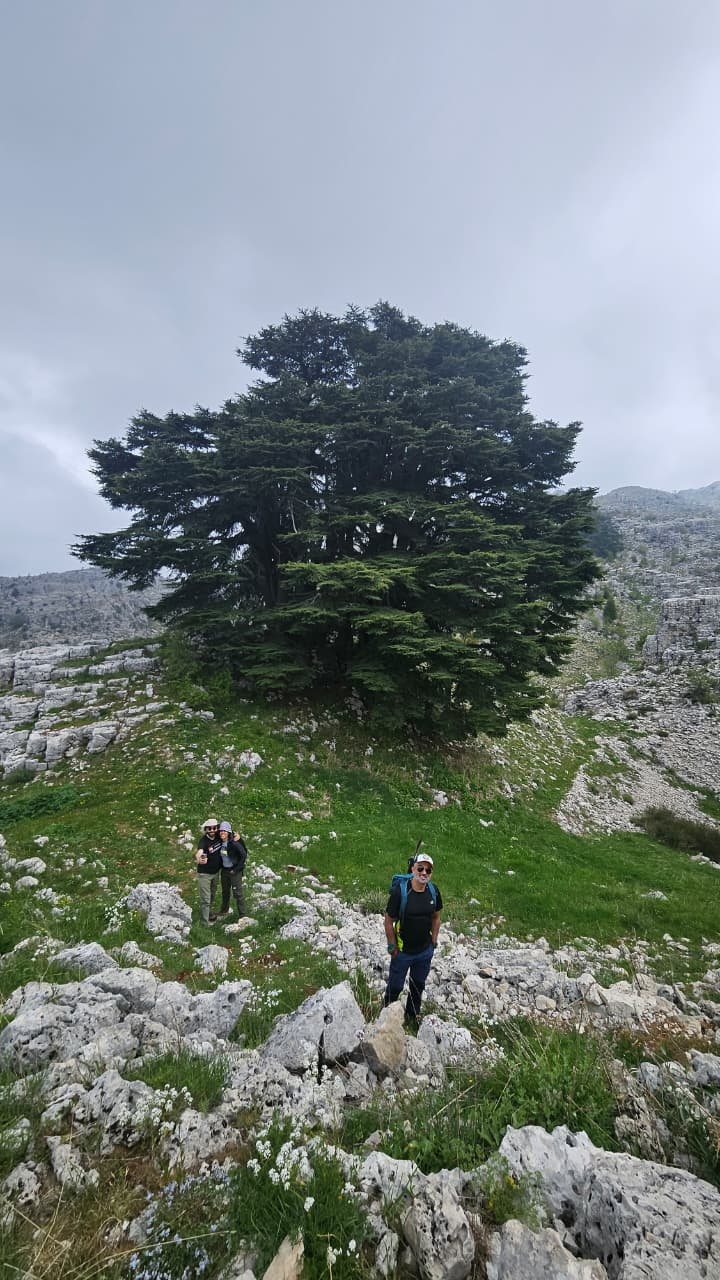 Lebanon in 5 Days — A Journey Through Time, Nature & Flavor