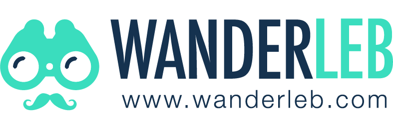 Wanderleb